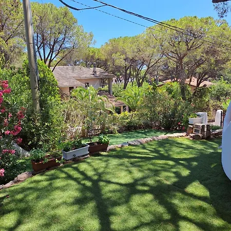 Pina 100 Meters From The Sea