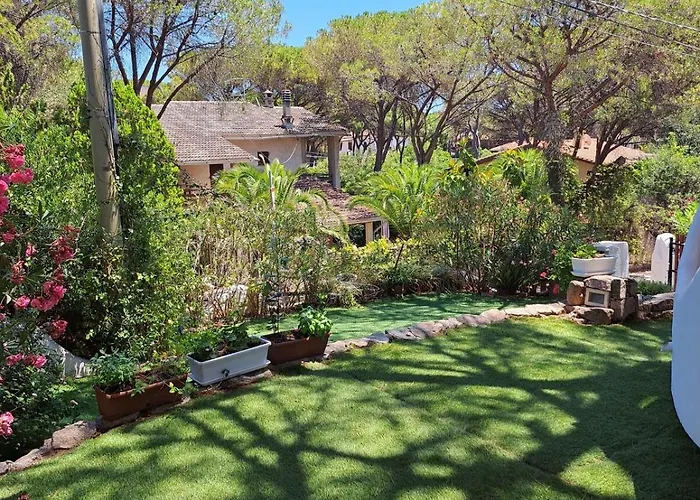 Pina 100 Meters From The Sea